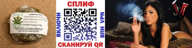 Купить закладки  Светлогорск  Canna-Cookies конопля 