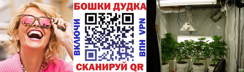 МАРИХУАНА конопля Светлогорск